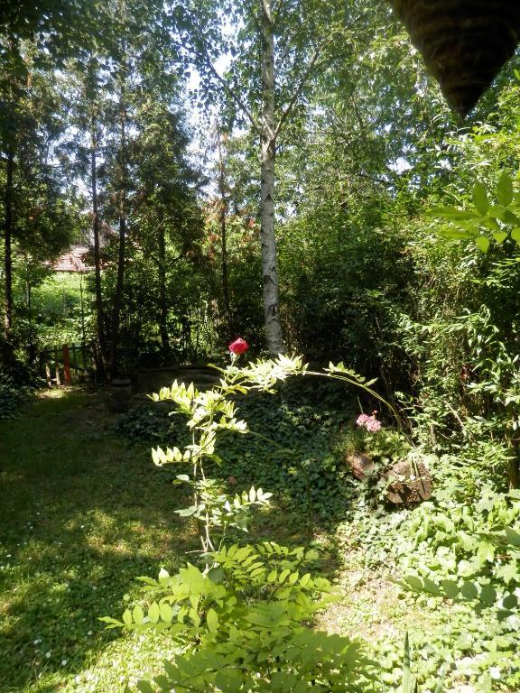 Hotel Apartman Napsugar Vendeghaz Eger Exteriér fotografie